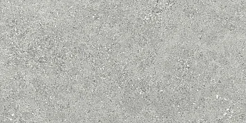 Керамогранит ROADSTONE SILVER NAT. 30