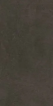 Керамогранит Про Фьюче коричневый обрезной (DD202800R)