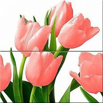 Панно Элара Коралл Триумф