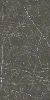 Керамогранит  Fox Graphite Natural