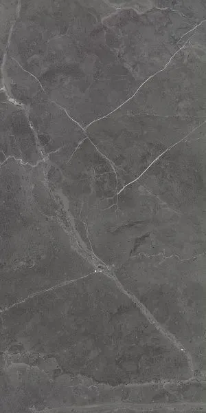 Плитка Керамогранит Art Ceramic Berrys Graffite 60x120