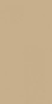 Керамогранит RAINBOW RW15 Непол.Рект 120