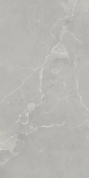 Керамогранит Pav. DUBAI grey 60х120