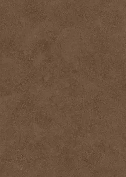 Настенная плитка Romance (C-RNM111R) коричневая