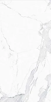 Керамогранит Avenzo Silver F P R Full Lappato 1 (MDT25F31210G)