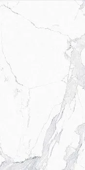 Керамогранит Avenzo Silver F P R Full Lappato 1 (MDT25F35110G)