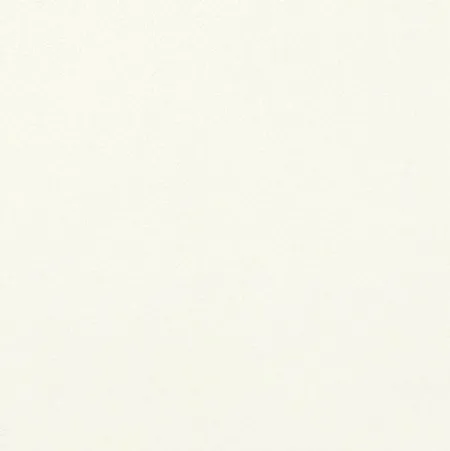 Напольная плитка CRISTALL BIANCO (изображение)