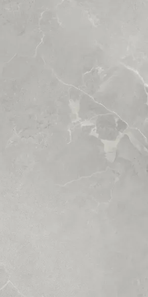 Керамогранит Pav. DUBAI lux grey 60х120