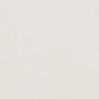 Керамогранит WHITE NAT.