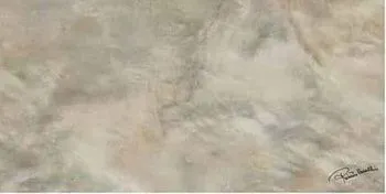 Керамогранит BRIGHT PEARL BRONZE FIRMA RT 0531192