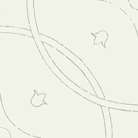 Настенная плитка МЕМО КОЛЬЦА МЯТА 00-00-1-15-00-20-1167 (изображение)