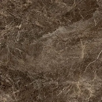 Керамогранит FRAPUCCINO POLLOCK RET N95M6R