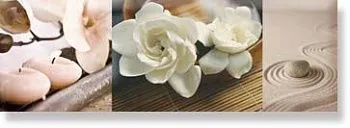 Декор  Decor Aure Spa Zen 02 AK0911