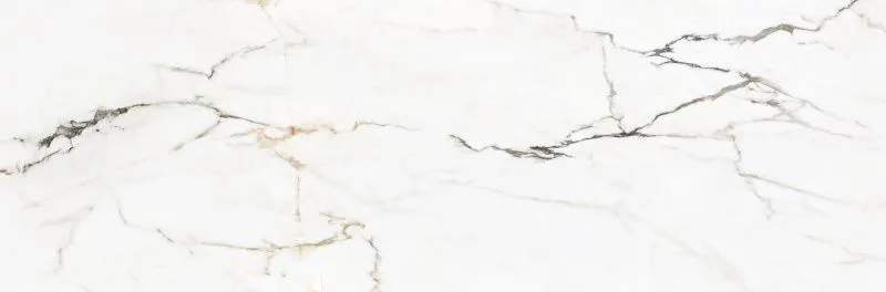 m4wkfmsjgd6tp78a4weywok2e8q9takt