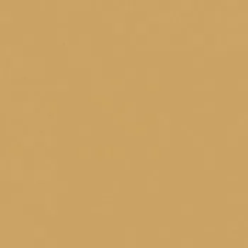 Керамогранит RAINBOW RW152 Непол.Рект. 60