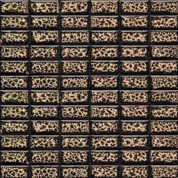 Мозаика Brik - 5(4) (48x24x8)