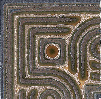 Вставка AC213/TU0031 Сенат