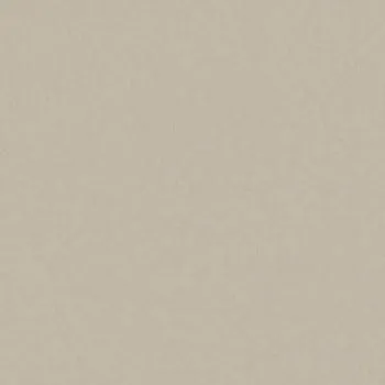 Керамогранит RAINBOW RW031 Полир. 40