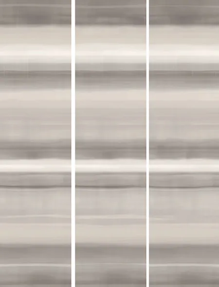 Декор CANVAS EVANESCENCE BEIGE.RETT (изображение)