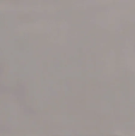 Декор 5254/9 Авеллино коричневый вставка (изображение)