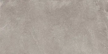 Керамогранит DD200400R Про Стоун серый обрезной