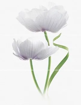 Декор WIND ALISSA Decor