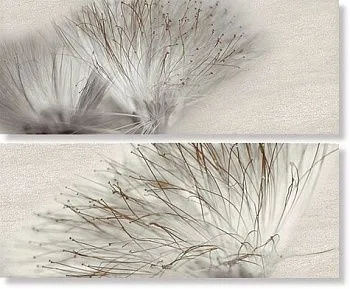 Декор Decor Set(2) Base Acero