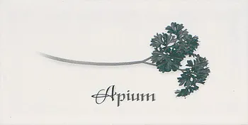 Декор Biselado Decor Blanco Apium