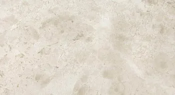 Настенная плитка  ATLAS CONCORDE S.S. Light Pearl