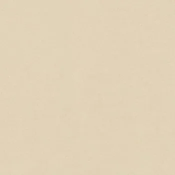 Керамогранит Imagine White Levigato Rett (610015000143)