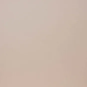 Керамогранит Бежевый G-110/PR