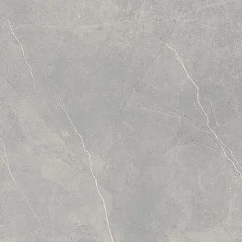 Напольная плитка PAV DELICE GRIS MATE RECT (78797216)