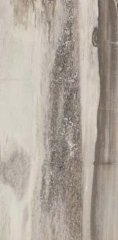 Керамогранит Petrified CORE GREY PANTHER LAPP 44