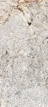 Декор NOBILE DEC.TROPICI B BLANC DU BLANC LUX RET