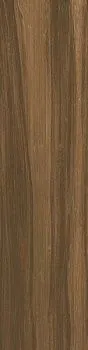 Керамогранит Aston Wood Elm Ret
