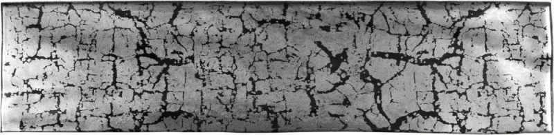 MAIOLICA ARGENT_7,5x30