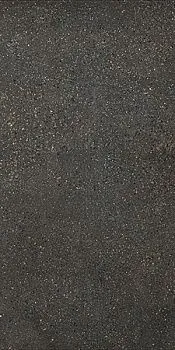 Керамогранит I COCCHI GRAFITE nat.
