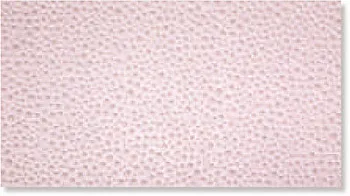 Декор PIOGGIA ROSA INSERTO