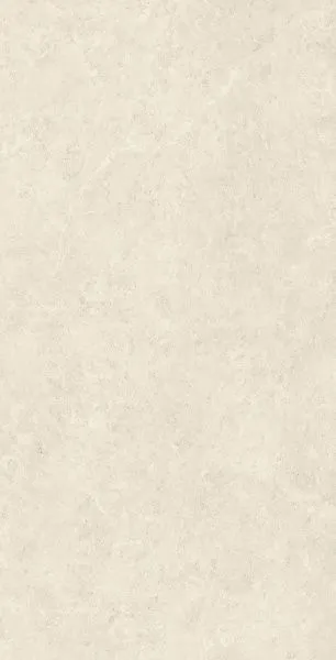 610010002341_1