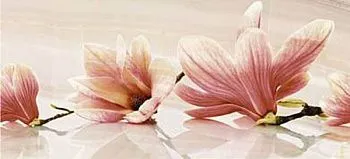 Декор Vanilla многоцветный (VA2G011DT)