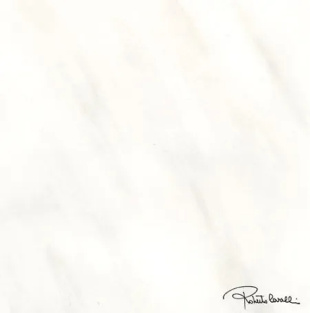 Керамогранит Tanduk BIANCO FIRMA Rett 556805 (изображение)