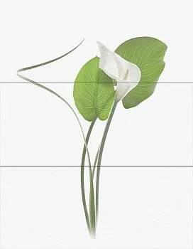 Декор WIND NADIA Decor