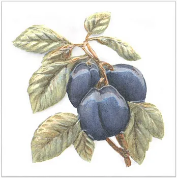 Декор TFA007 Оранжерея Слива