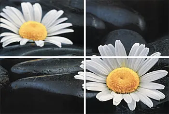 Панно Alba Spa (4 шт)