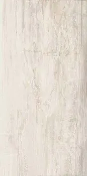 Керамогранит Petrified CORE WHITE LION RETT 45