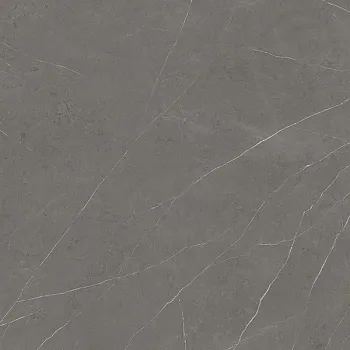 Керамогранит Xlight Premium Liem Grey Polished (C221100601)