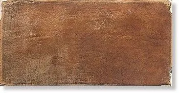 Керамогранит Monterrey Bruciato  Tavella MOY A51