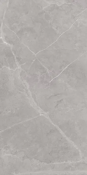 Плитка Керамогранит Art Ceramic Berrys Grey 60x120