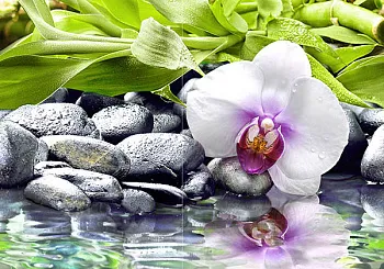 Панно BlackStone многоцветное (BS2M452DT)