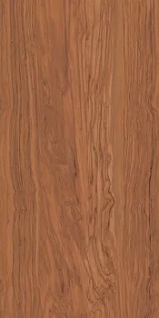 Керамогранит Олива SG565300R коричневый обрезной